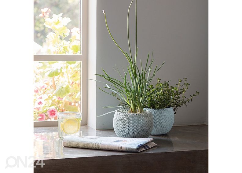 Набор цветочных горшков Кетер Уютный, 3 шт увеличить