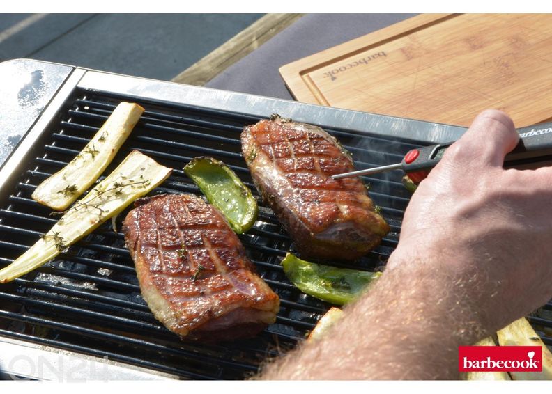 Настольный угольный гриль Barbecook Karl увеличить