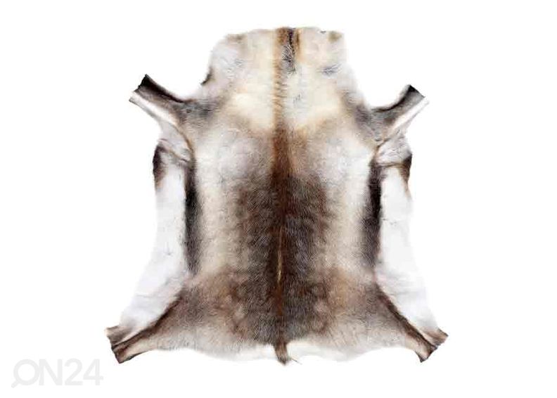 Натуральная шкура северного оленя ± 70х110 см увеличить