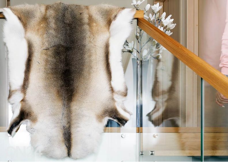 Натуральная шкура северного оленя ± 70х110 см увеличить