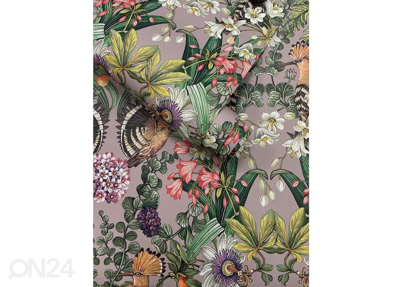 Обои Marimo увеличить