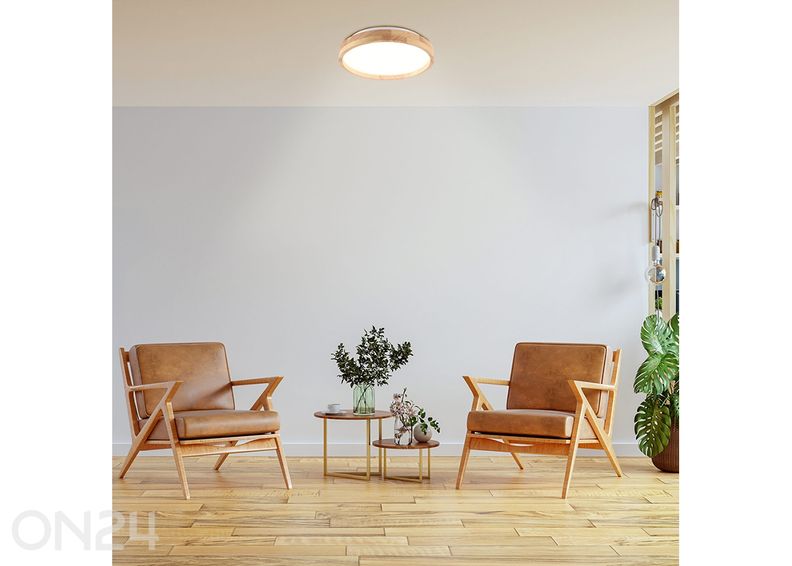 Плафон Janus LED Ø 27 см увеличить