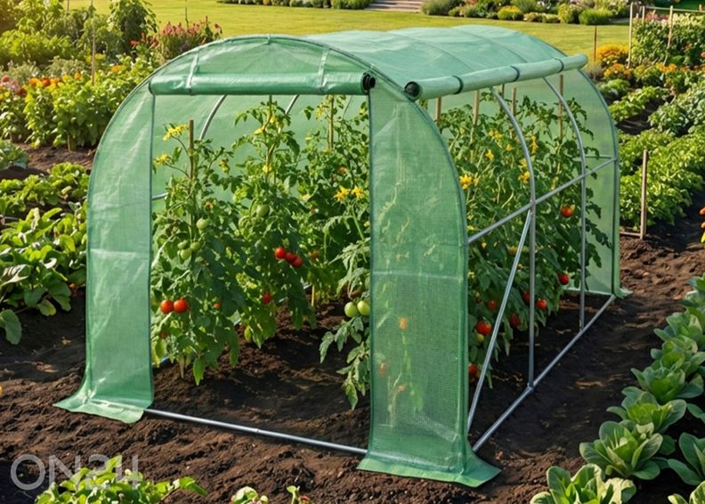 Плёночная теплица 6 м² увеличить