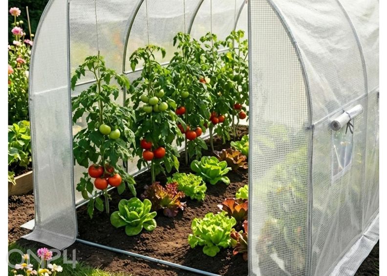 Плёночная теплица 6 м² увеличить