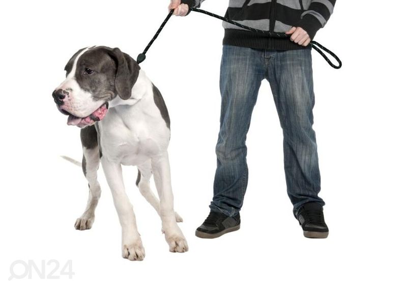 Поводок 183см / 10мм черный Duvo + увеличить