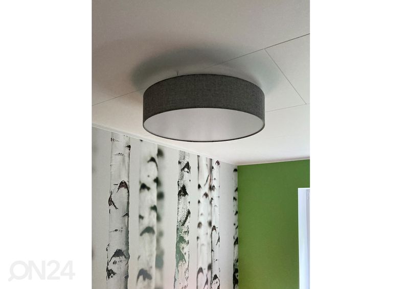 Подвесной светильник Pasteri увеличить