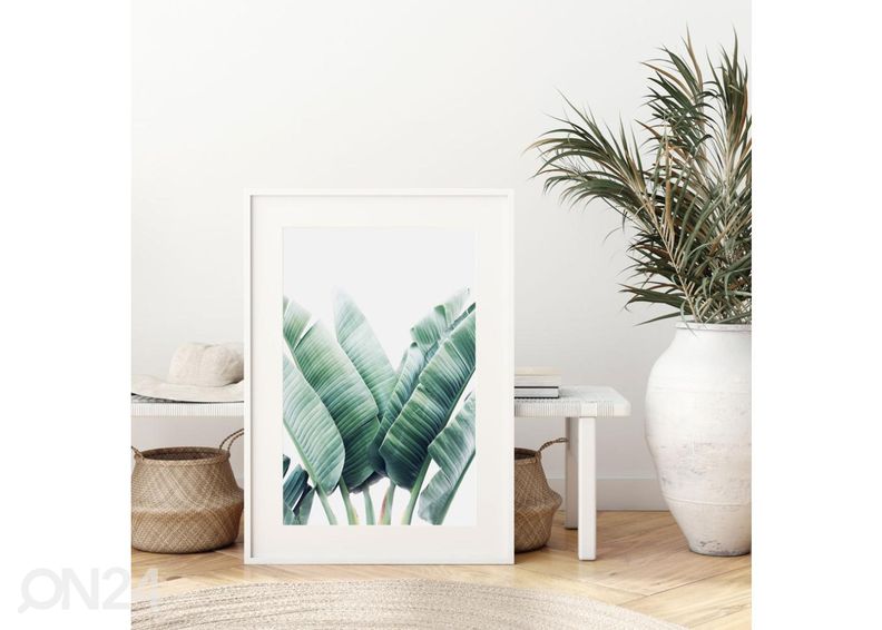 Постер Листья банана 30х40 см увеличить