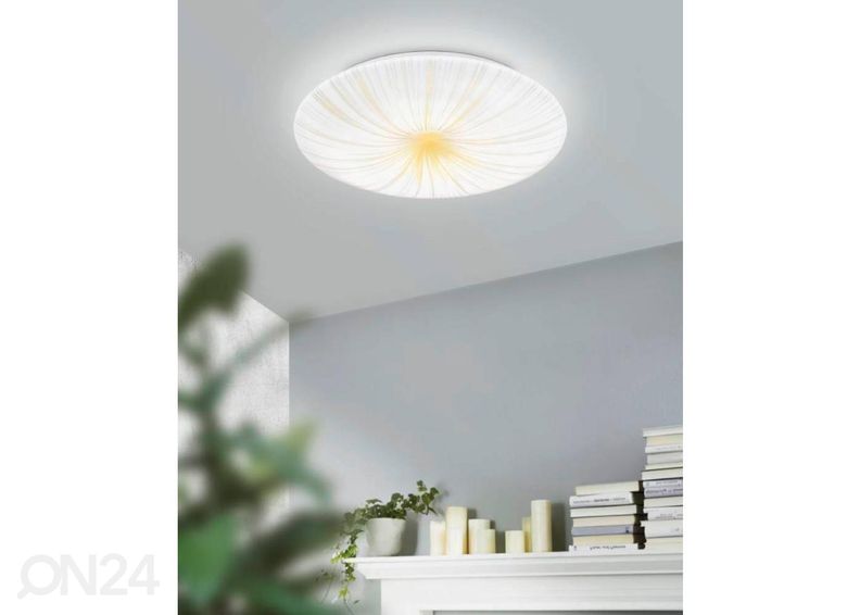 Потолочный / настенный светильник Nieves 1 увеличить