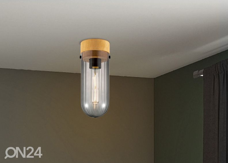 Потолочный светильник Capri увеличить