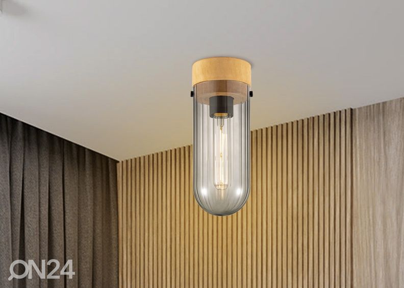 Потолочный светильник Capri увеличить