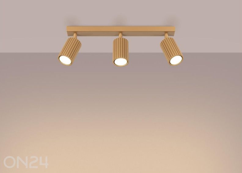 Потолочный светильник Karbon 3L увеличить