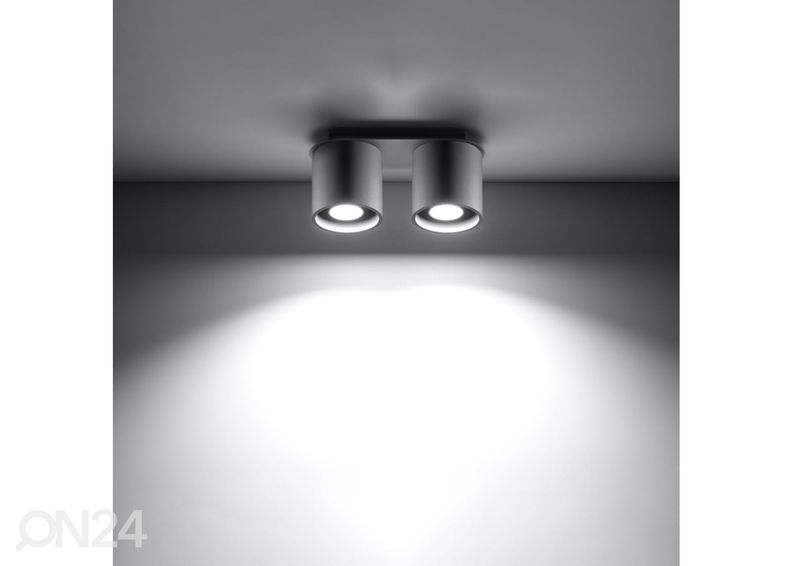 Потолочный светильник Orbis 2, серый увеличить