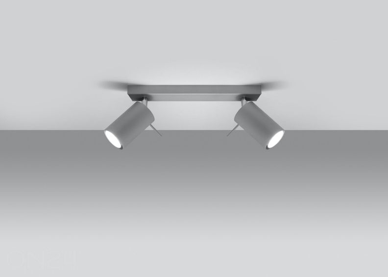 Потолочный светильник Ring 2, серый увеличить