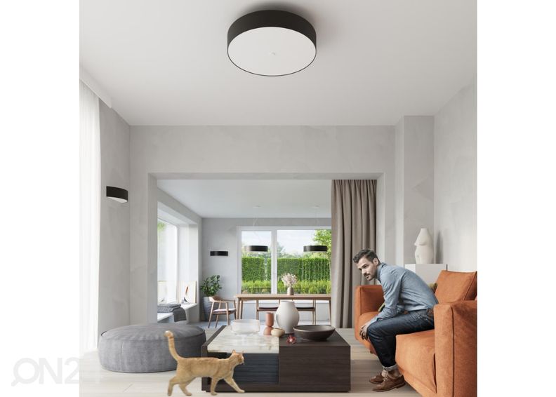 Потолочный светильник Skala 30, черный увеличить