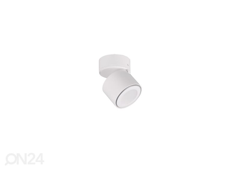 Потолочный светильник Taurus увеличить