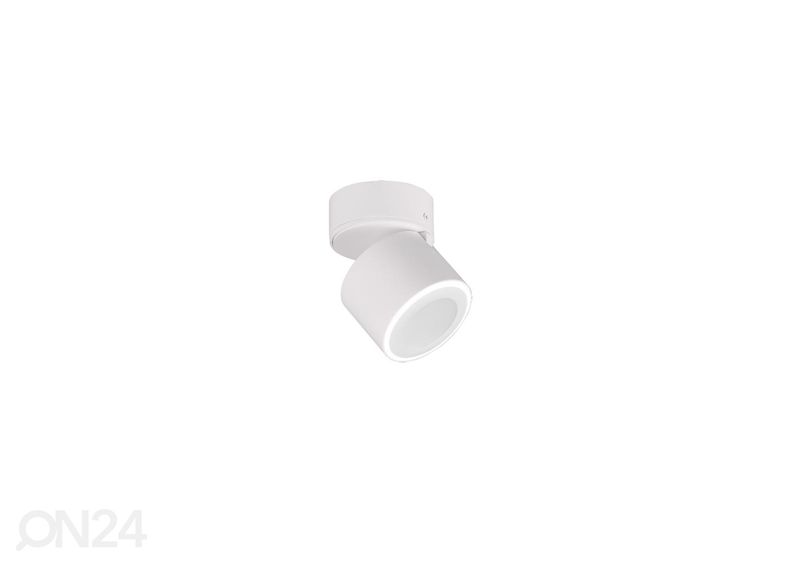 Потолочный светильник Taurus увеличить