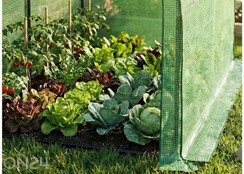 Пристенная теплица 2 м² увеличить