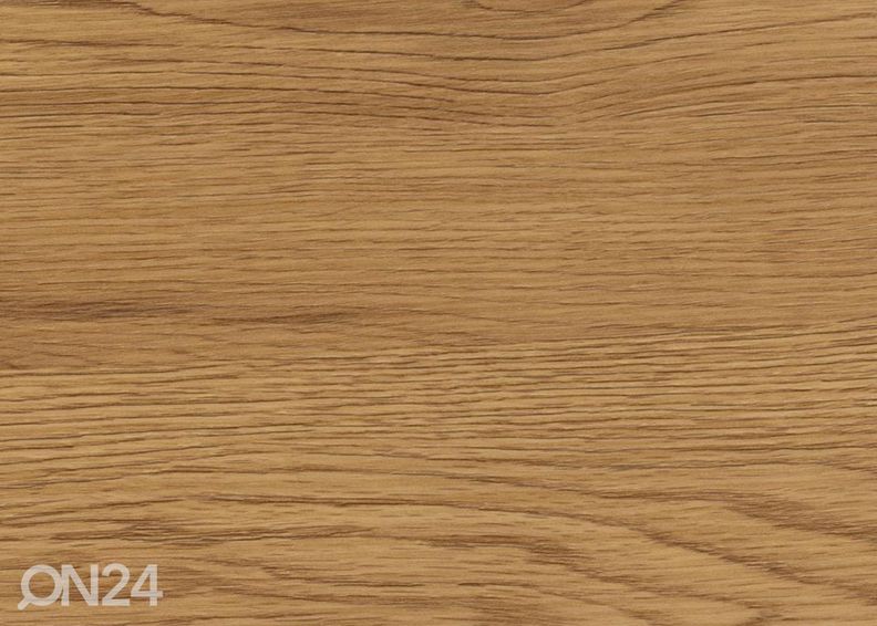 Рабочий стол Belt увеличить