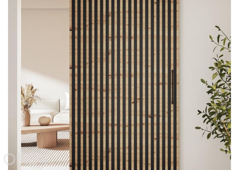 Раздвижная дверь Tauricio 96 см с доводчиком увеличить