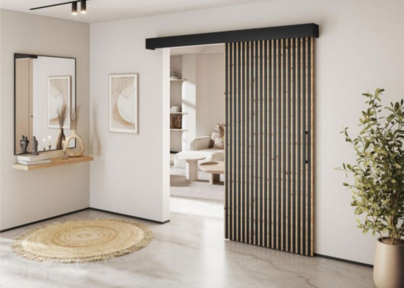 Раздвижная дверь Tauricio 96 см с доводчиком увеличить