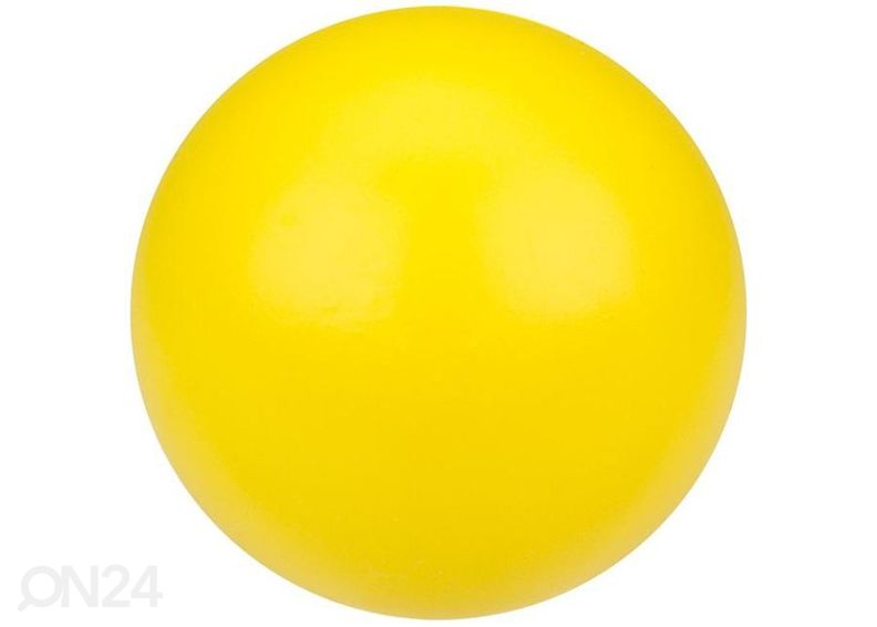 Ракетки с мячом для пляжного тенниса Animal Waimea увеличить