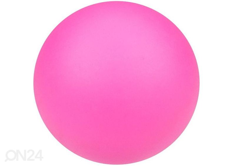 Ракетки с мячом для пляжного тенниса Animal Waimea увеличить