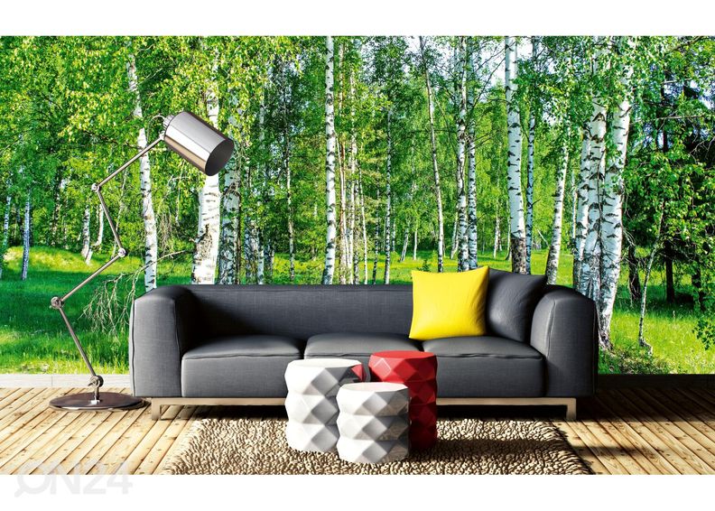 Самоклеящиеся фотообои Wall Mural Birch Grow увеличить