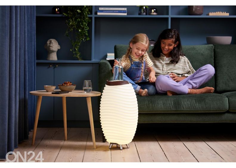 Светильник с колонкой и контейнером для льда Synergy 65 2.0 увеличить