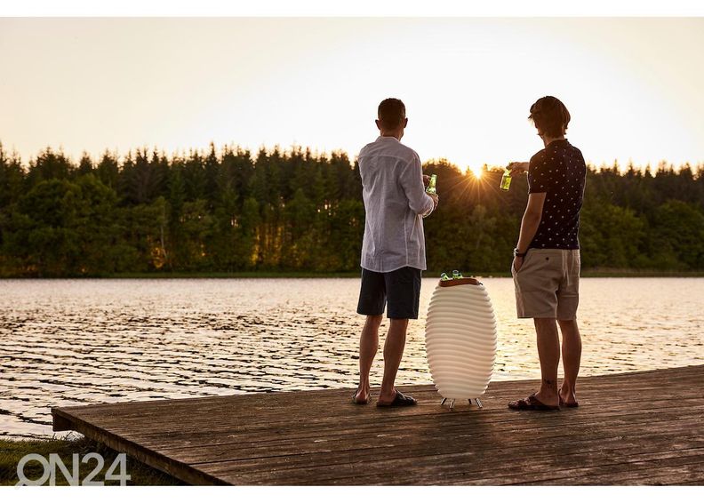 Светильник с контейнером для льда Synergy 65 PRO увеличить