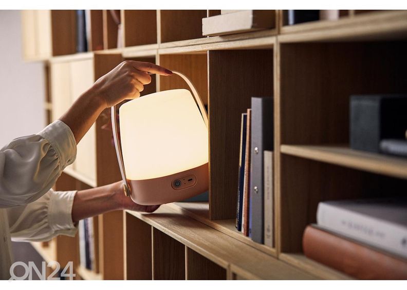 Светильник Lite-UP Light Rose увеличить