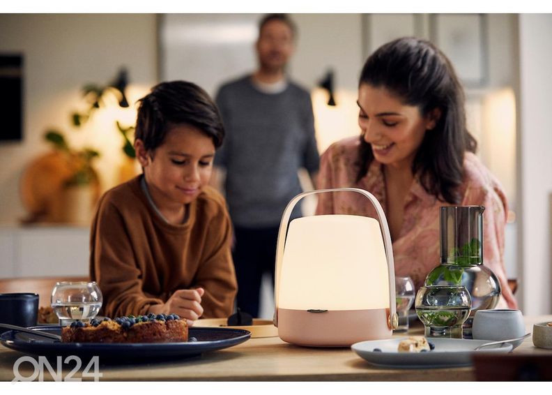 Светильник Lite-UP Light Rose увеличить