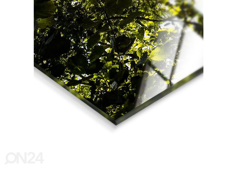 Стеклянная картина Idyll 50x70 см увеличить