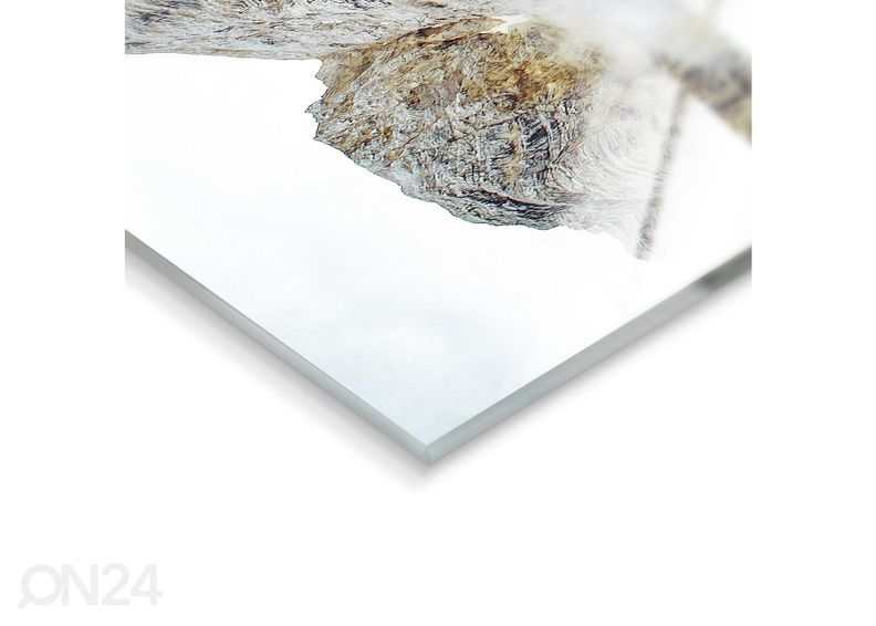 Стеклянная картина Tyrol Hut 50x70 см увеличить