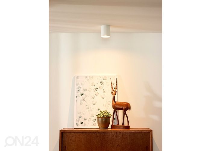 Точечный светильник Bodi увеличить