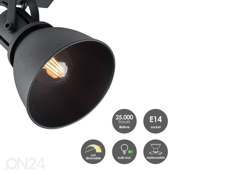 Точечный светильник Fama увеличить