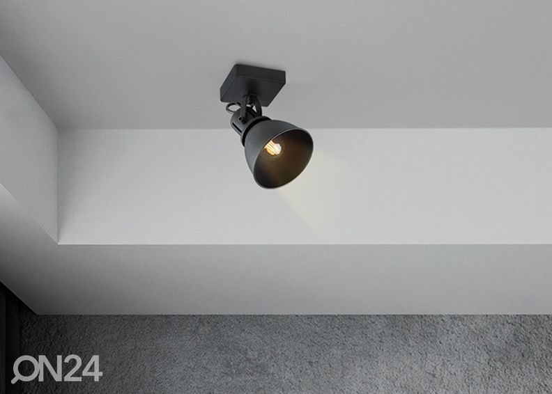 Точечный светильник Fama увеличить