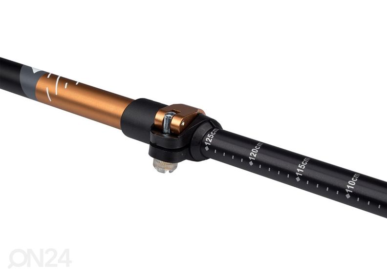 Трости для спортивной ходьбы Abbey увеличить