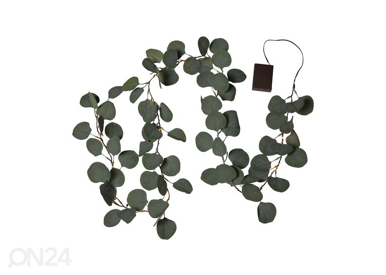 Украшение Eucalyptus увеличить
