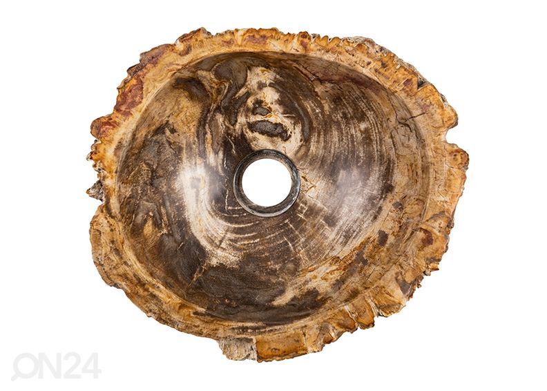 Умывальник из окаменелого дерева увеличить