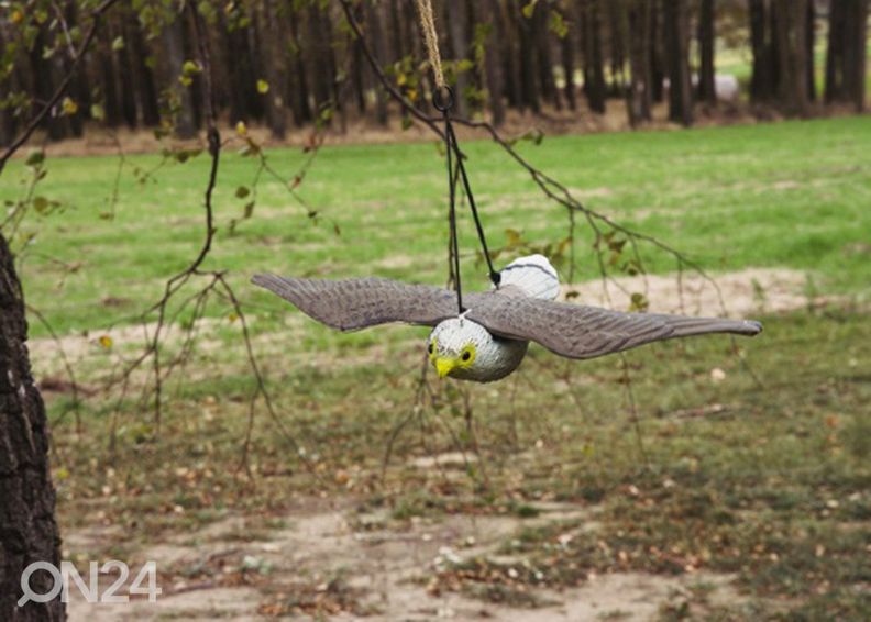 Фигура птицы Летающий ястреб, для сада увеличить