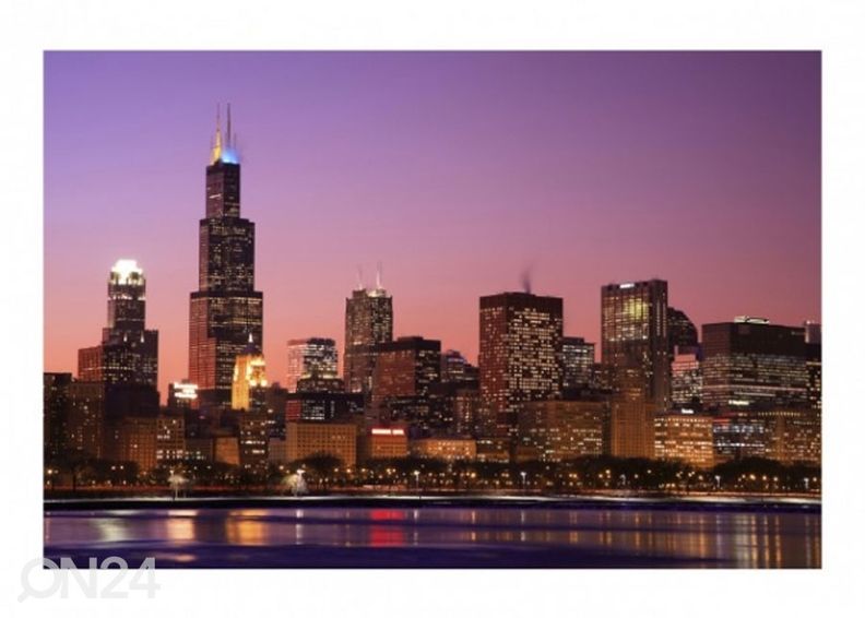 Флизелиновые фотообои Chicago Skyline увеличить