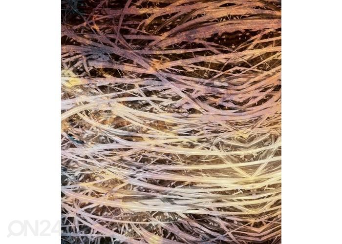 Флизелиновые фотообои Hay Abstract I 150x250 см увеличить