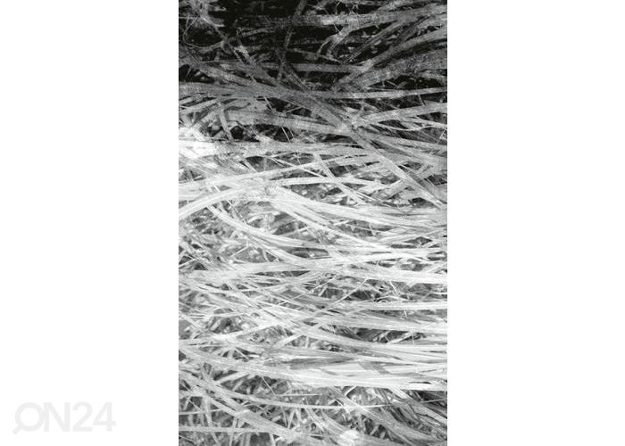 Флизелиновые фотообои Hay Abstract II 150x250 см увеличить