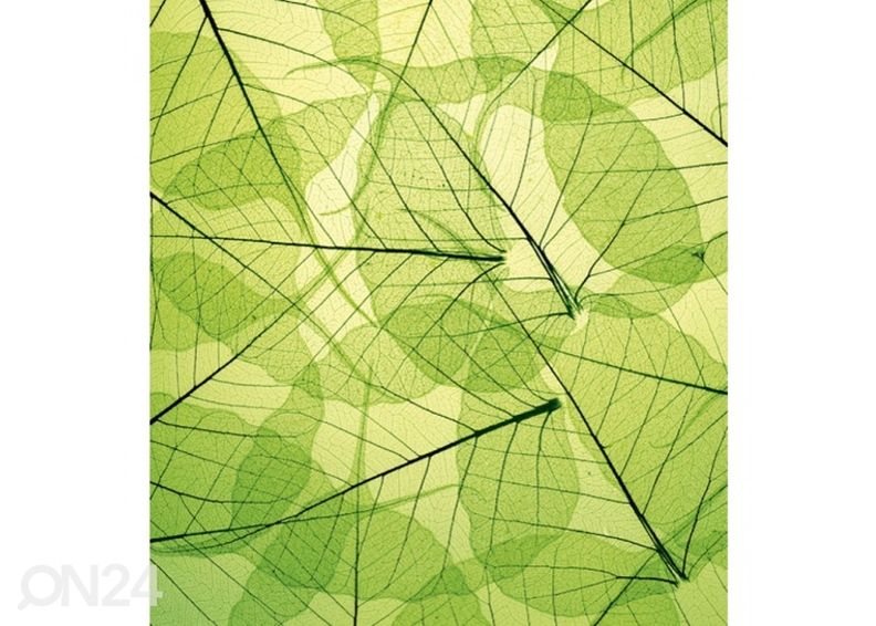 Флизелиновые фотообои Leaf veins 150x250 см увеличить