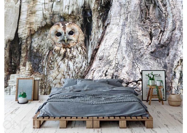 Флизелиновые фотообои Owl on a Grey Tree 368x254 см увеличить
