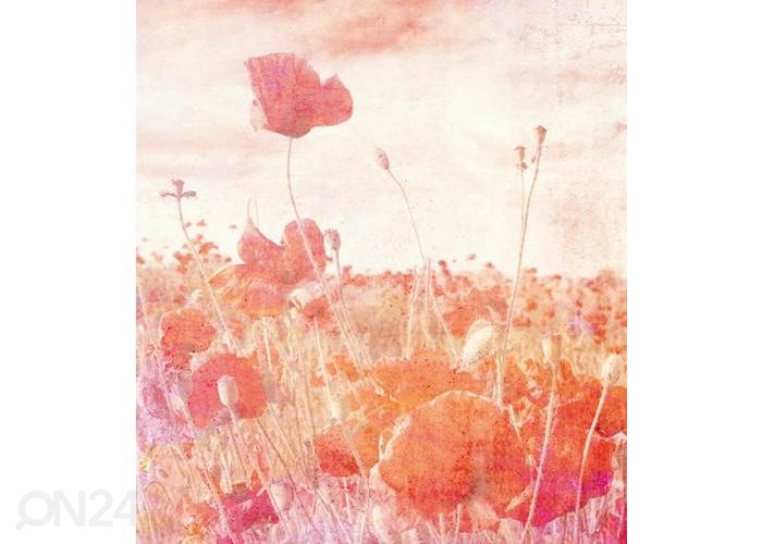 Флизелиновые фотообои Poppies Abstract 150x250 см увеличить