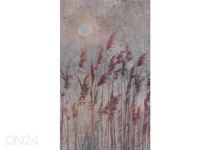 Флизелиновые фотообои Reed Abstract 150x250 см увеличить