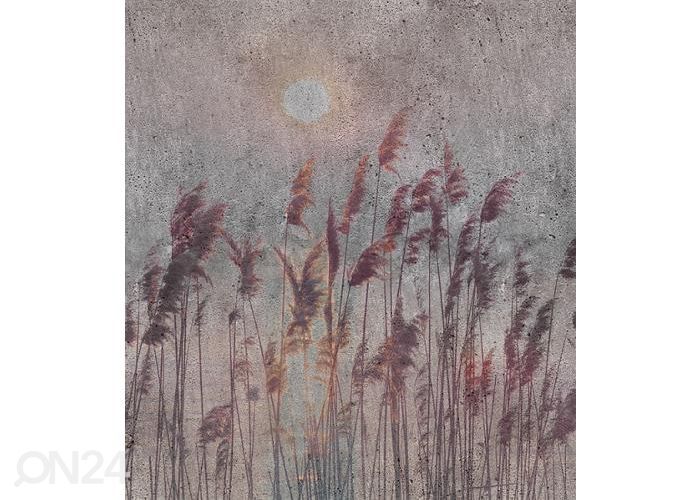 Флизелиновые фотообои Reed Abstract 150x250 см увеличить