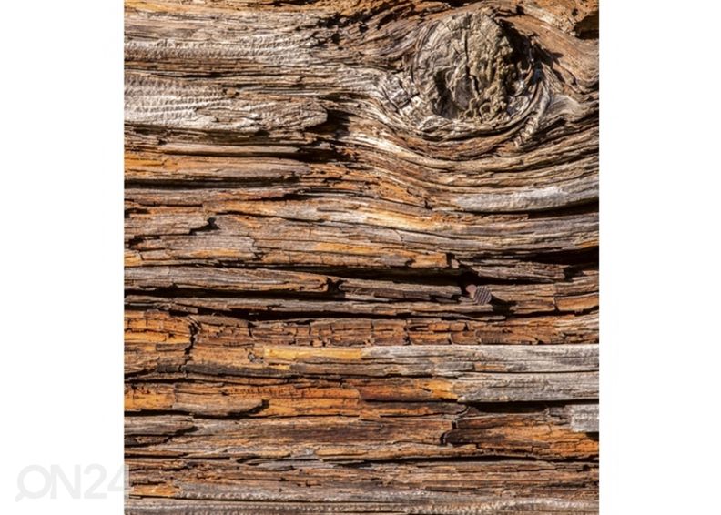 Флизелиновые фотообои Tree bark 150x250 см увеличить