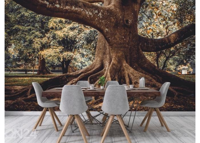 Флизелиновые фотообои Tree Root 368x254 см увеличить